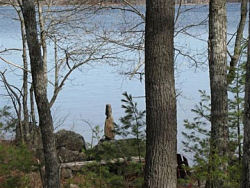 Lake landscape