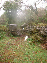 Spirits in Brigit's Garden
